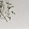 Caesarstone Deluxe Frosty Carrina 5141 Polished