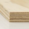 Trade Essentials Plywood Pine