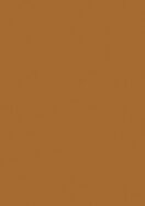 Laminex Formica Laminate Burnt Ochre Natural