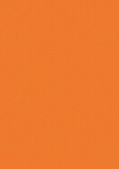 Melteca PVC Edging Preglued Energise Standard