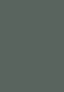 Laminex Alucci ABS Edging Unglued Green Slate Matte