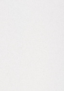 Caesarstone Project Intense White 6011 Polished