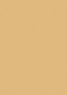 Laminex Formica Laminate Pale Honey Natural