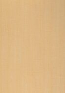 Melteca Melamine Spring Maple Naturale