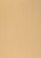 Melteca Melamine Spring Maple Satin