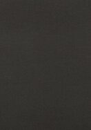 Laminam Slim Porcelain Tile Naturali Basalto Vena Scura