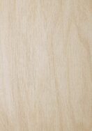 Melteca Melamine Raw Birchply Organic