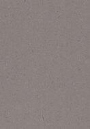 Caesarstone Project Oyster 4030 Polished