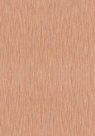 Brushed Copper