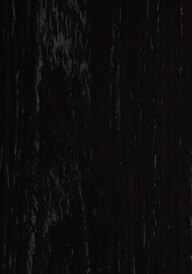 Obsidian Oak