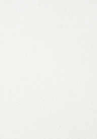 Essastone White Concrete
